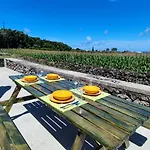 Casa Dos Meus Avos Mar & Semesterbostad Biscoitos (Terceira)